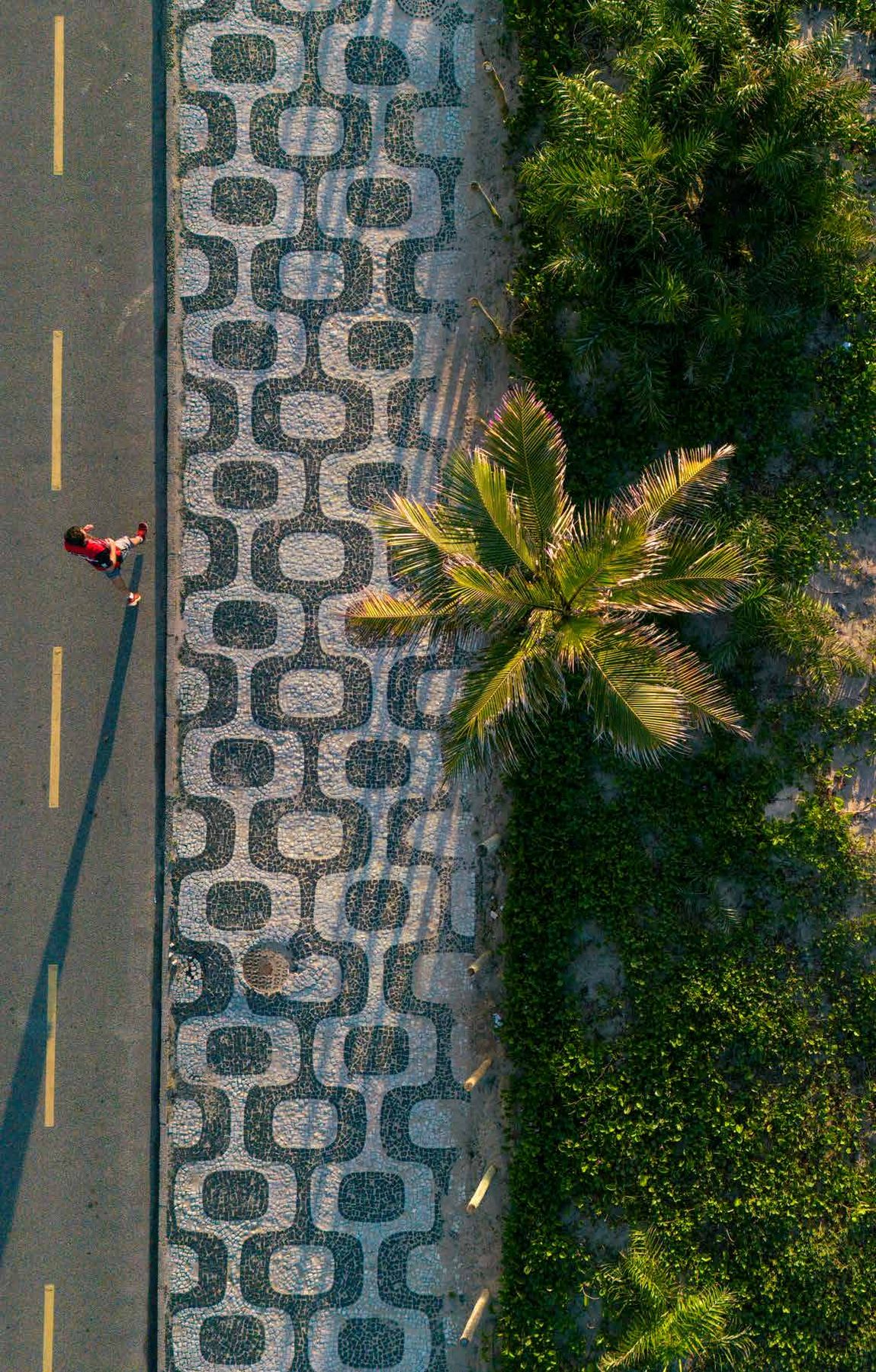 Ipanema Lagoa